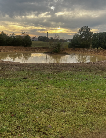 Pond Construction & Maintentance