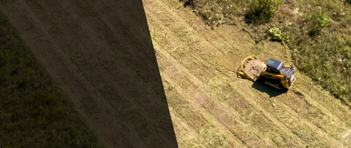 skid steer clearing brush